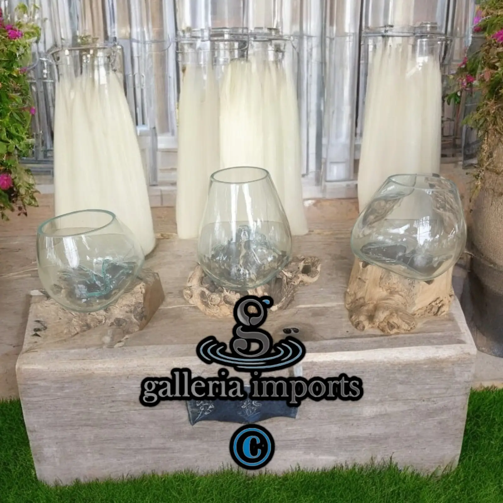 Mix Size Glass Terrariums